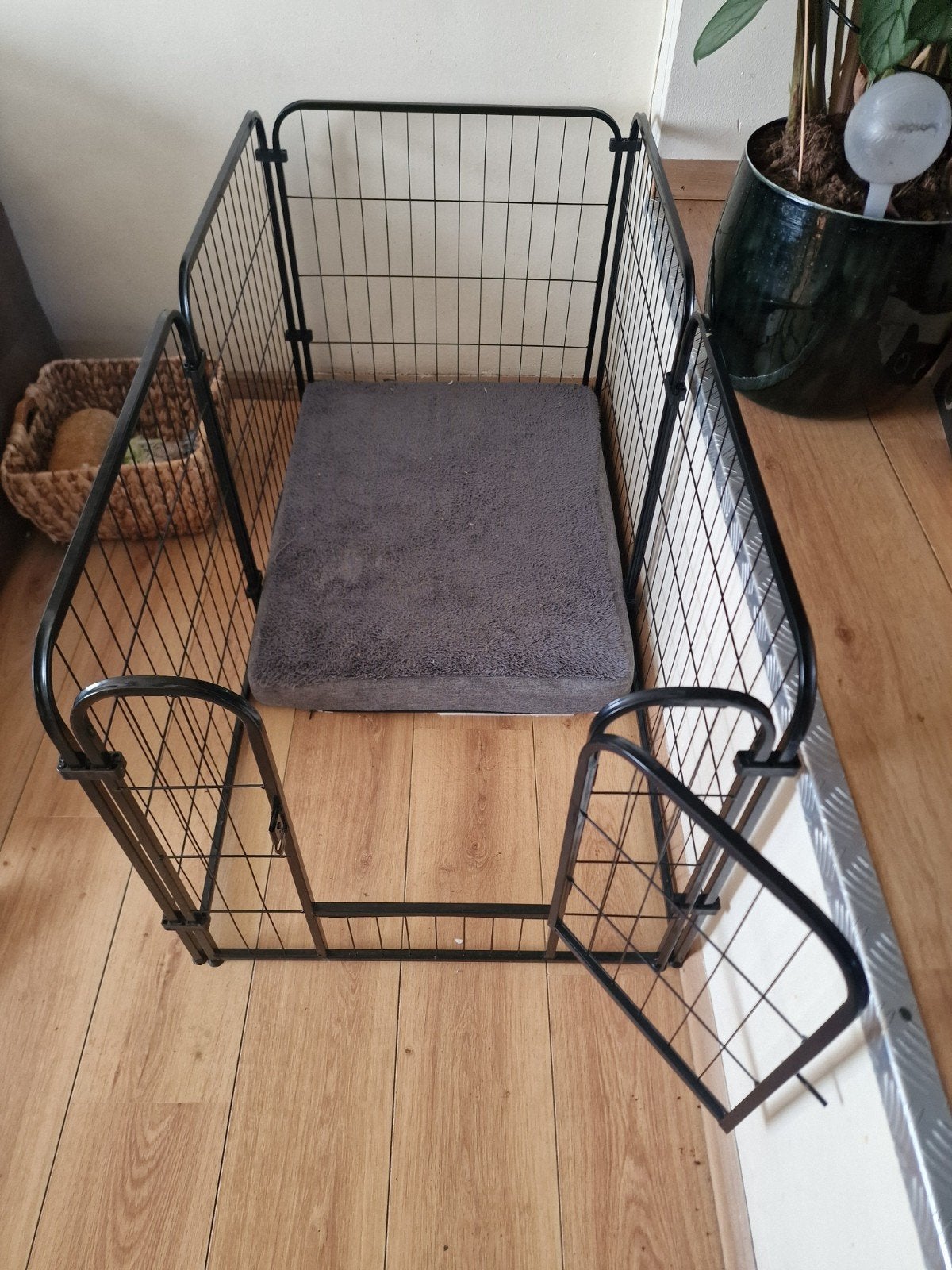 Puppy ren, Ophalen, 110 cm of meer, Minder dan 65 cm