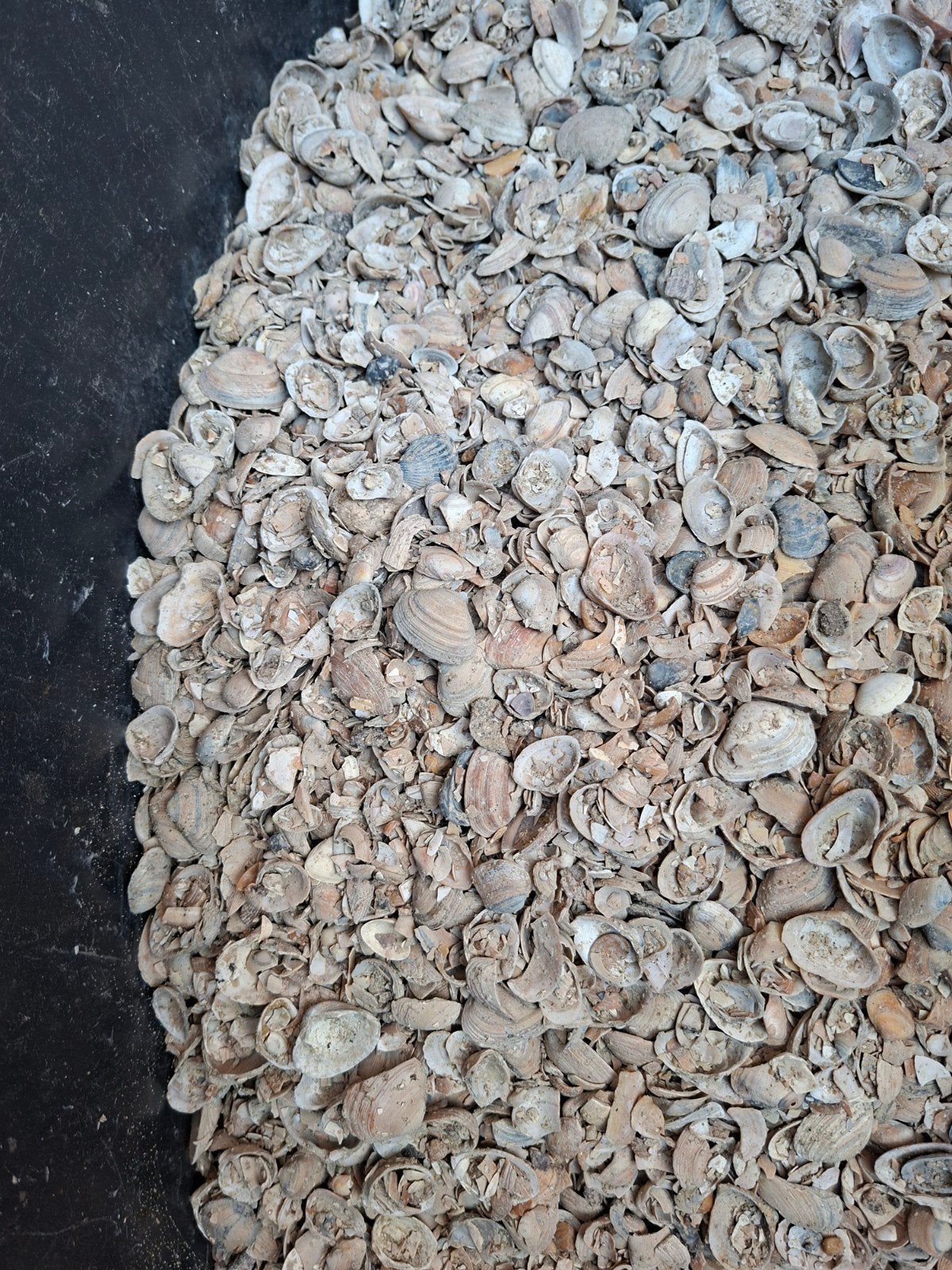 300 liter schelpen. teveel gehaald., Ophalen