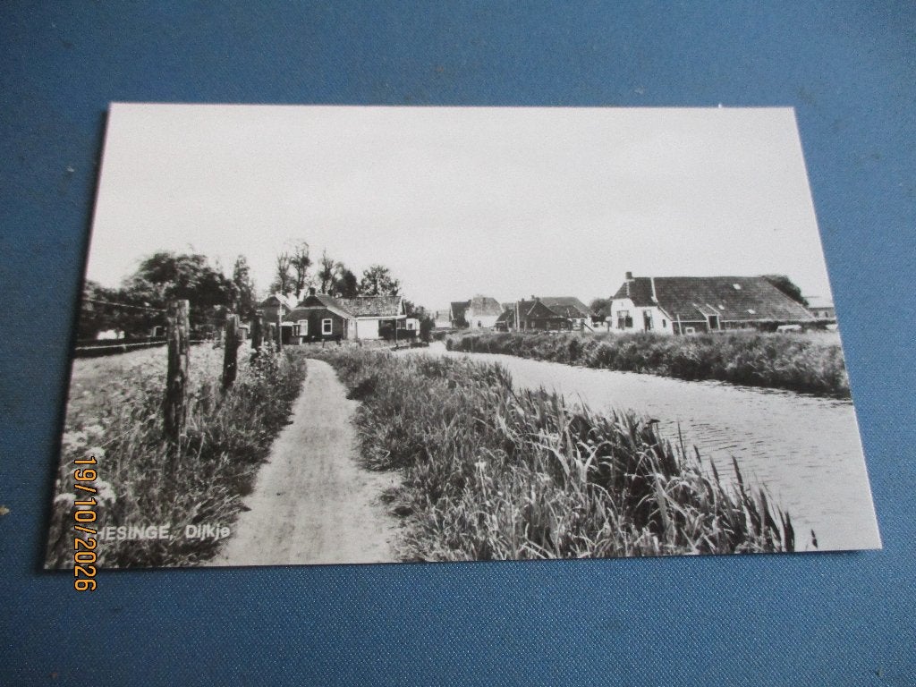Thesinge, Ophalen of Verzenden, Voor 1920, Ongelopen, Utrecht