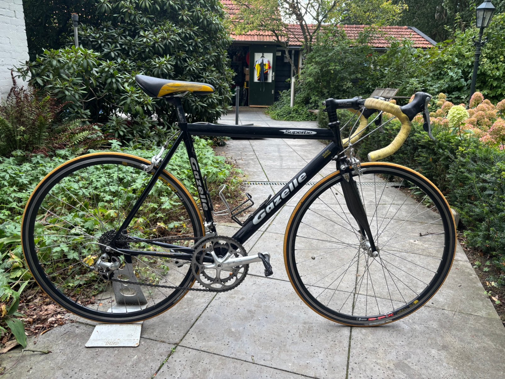 Gazelle superbe, Ophalen of Verzenden, Zo goed als nieuw, Overige typen