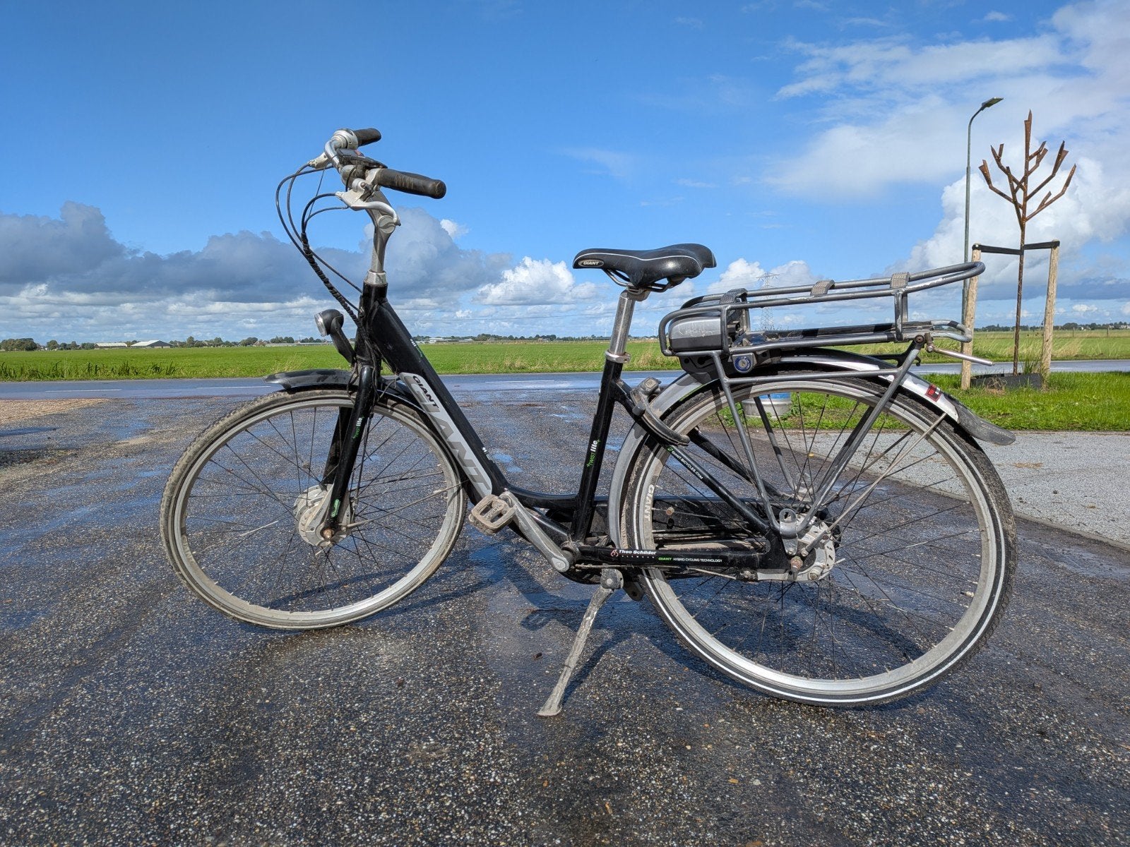 Giant Twist Lite - zonder accu, Fietsen en Brommers, Ophalen of Verzenden, Gebruikt, Giant