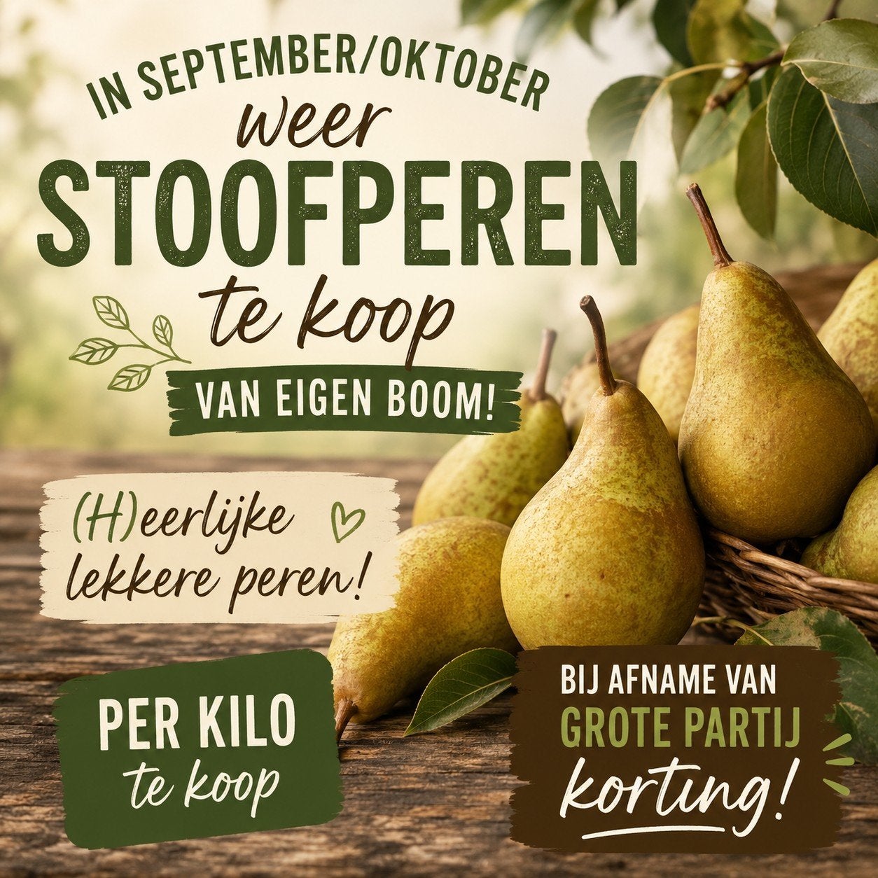 Heerlijke Gieser Wilderman stoofperen van eigen boom, Ophalen, Minder dan 100 cm, Overige soorten, Lente