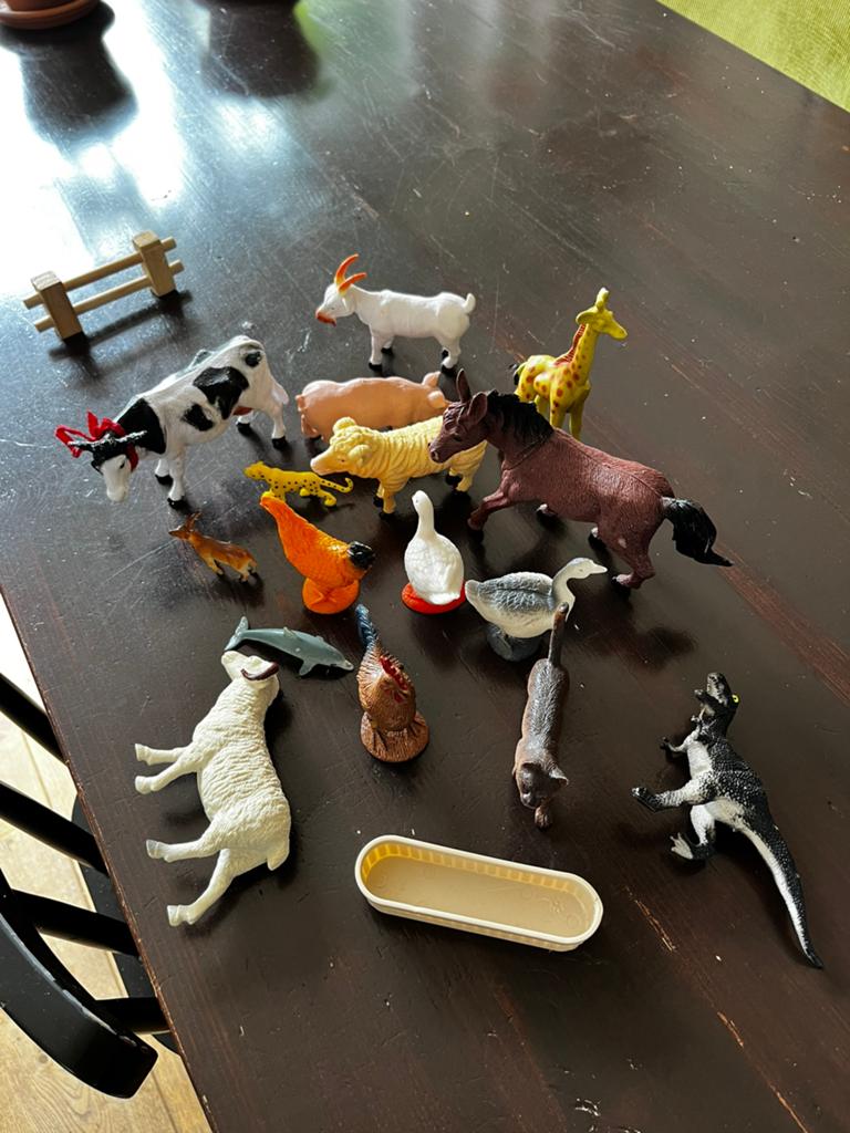 Boerderijdieren en overige plastic dieren, Kinderen en Baby's, Speelgoed | Overig, Ophalen, Gebruikt, Jongen of Meisje