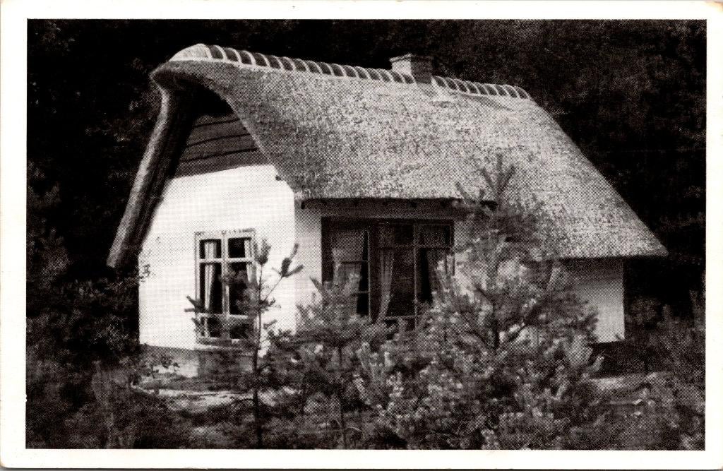 Oosterhout - Vacantie- en Kampeercentrum Katjeskelder (1955), Verzenden, 1940 tot 1960, Gelopen, Noord-Brabant
