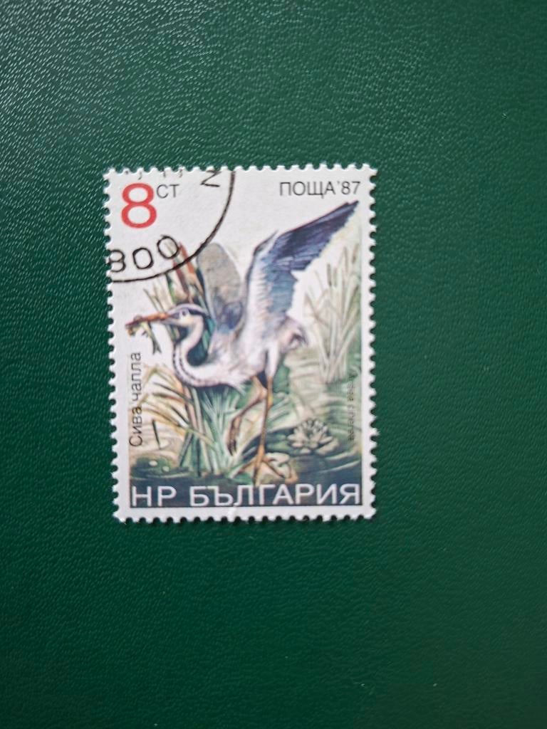 Blauwe Reiger. Vogel. Bulgarije, Ophalen of Verzenden, Dier of Natuur