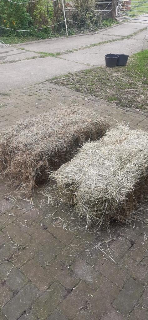 Hooibaaltjes kleine pakjes hooi, Ophalen, Vee