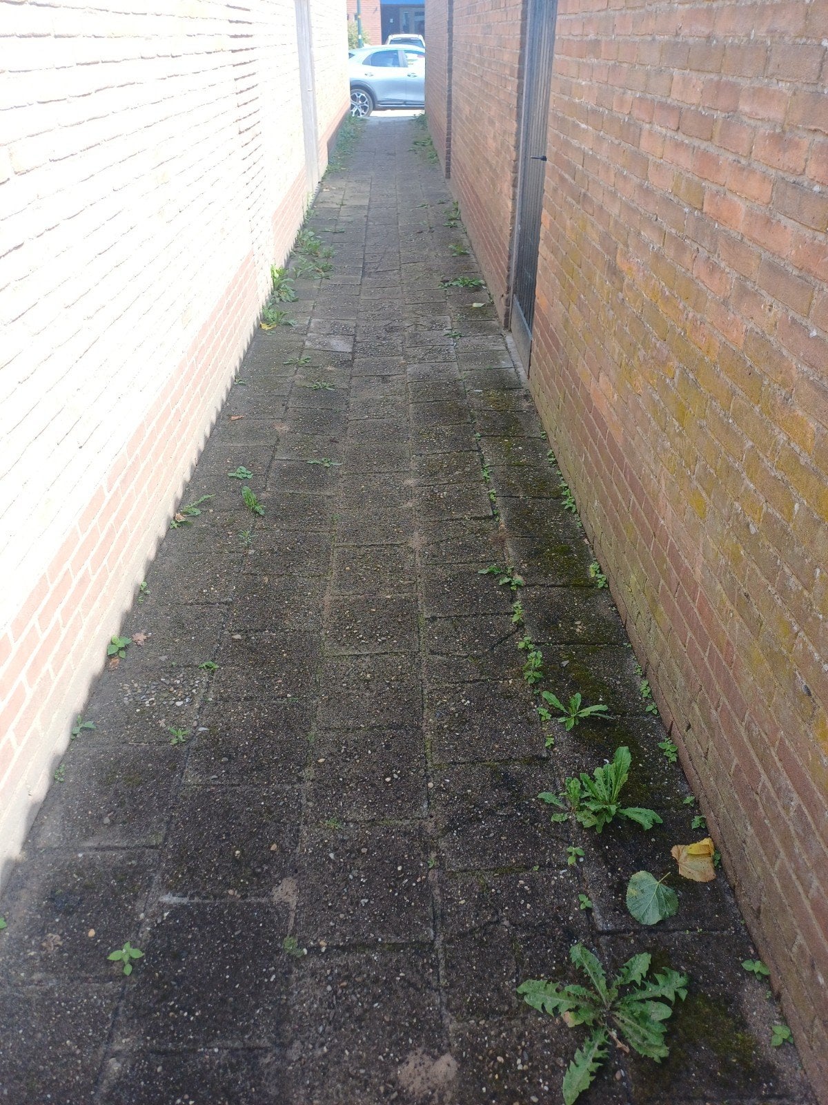 Oude 30x30 tegels voor tijdelijk gebruik - zelf ophalen, Ophalen, Gebruikt, Overige typen, 10 m² of meer