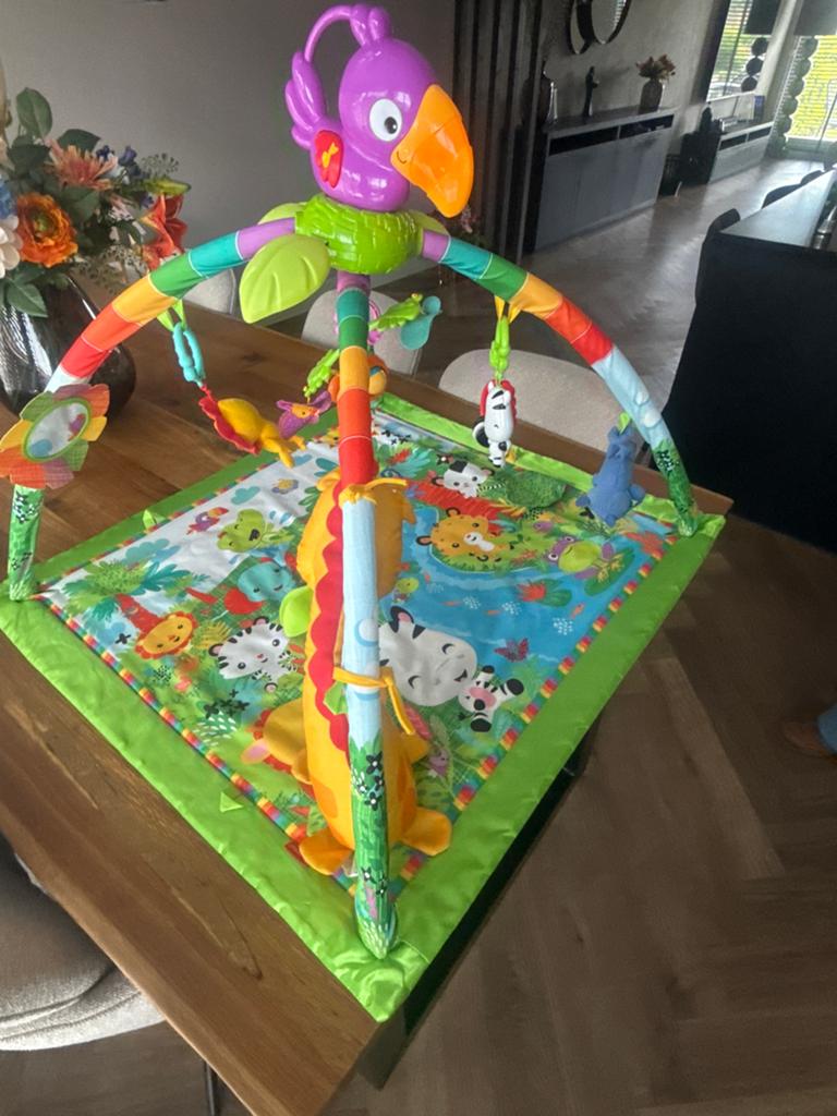 Vrolijk Speelkleed met Babygym en Geluid, Ophalen of Verzenden, Zo goed als nieuw, Speelkleed, Met geluid