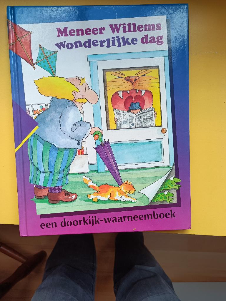 Meneer Willems wonderlijke dag, Boeken, Ophalen of Verzenden, Gelezen, Fictie algemeen