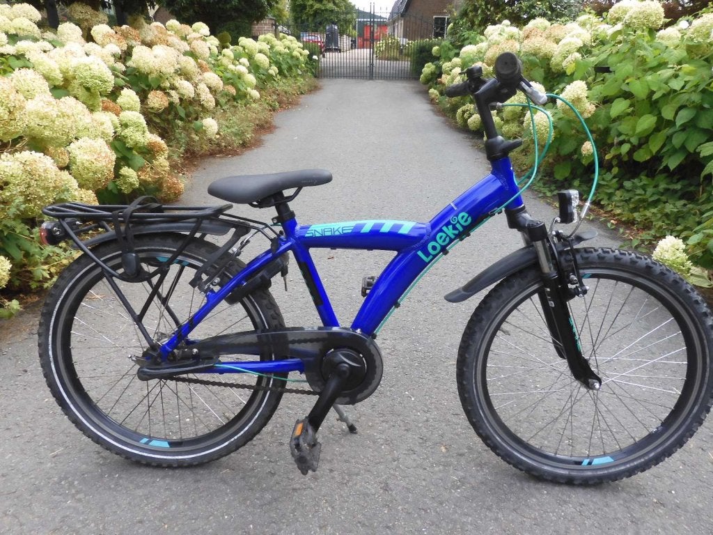 Stoere 22 inch Loekie Snake met 3 versnellingen in topstaat, Fietsen en Brommers, Terugtraprem, 22 inch, Loekie, Versnellingen
