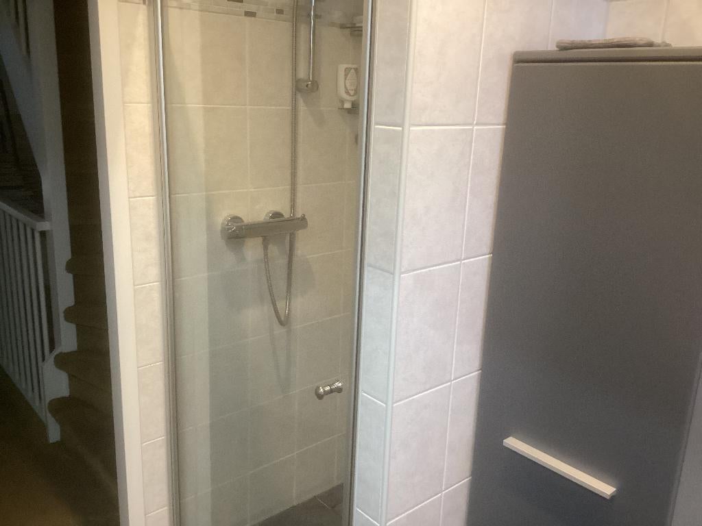 Glazen douchedeur, Ophalen, Gebruikt, Rvs, Douche