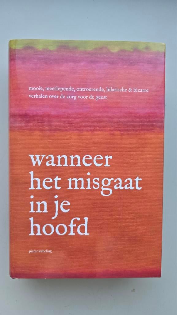 Wanneer het misgaat in je hoofd - Pieter Webeling, Boeken, Ophalen of Verzenden, Gelezen, Klinische psychologie, Pieter Webeling