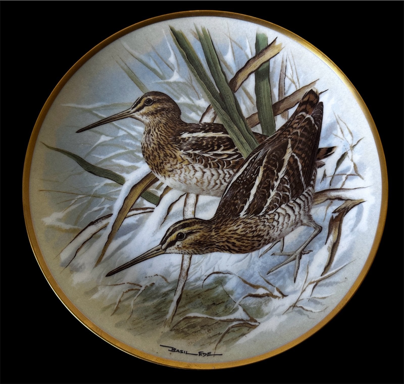 Franklin Porcelain "Common Snipe" door Basil Ede, Ophalen of Verzenden