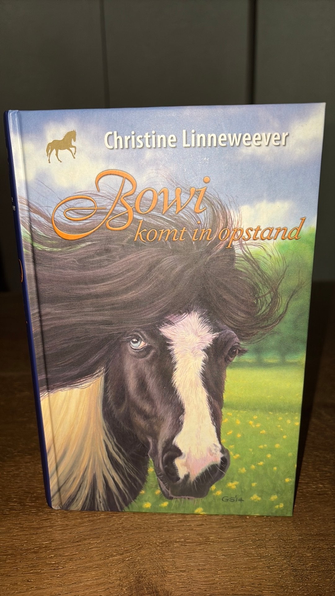Christine Linneweever - Bowi komt in opstand, Ophalen of Verzenden, Zo goed als nieuw, Christine Linneweever