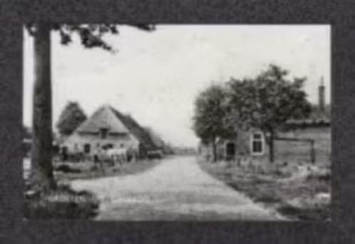 Grolloo Drenthe Straatbeeld Boerderijen., Ophalen of Verzenden, 1960 tot 1980, Ongelopen, Drenthe