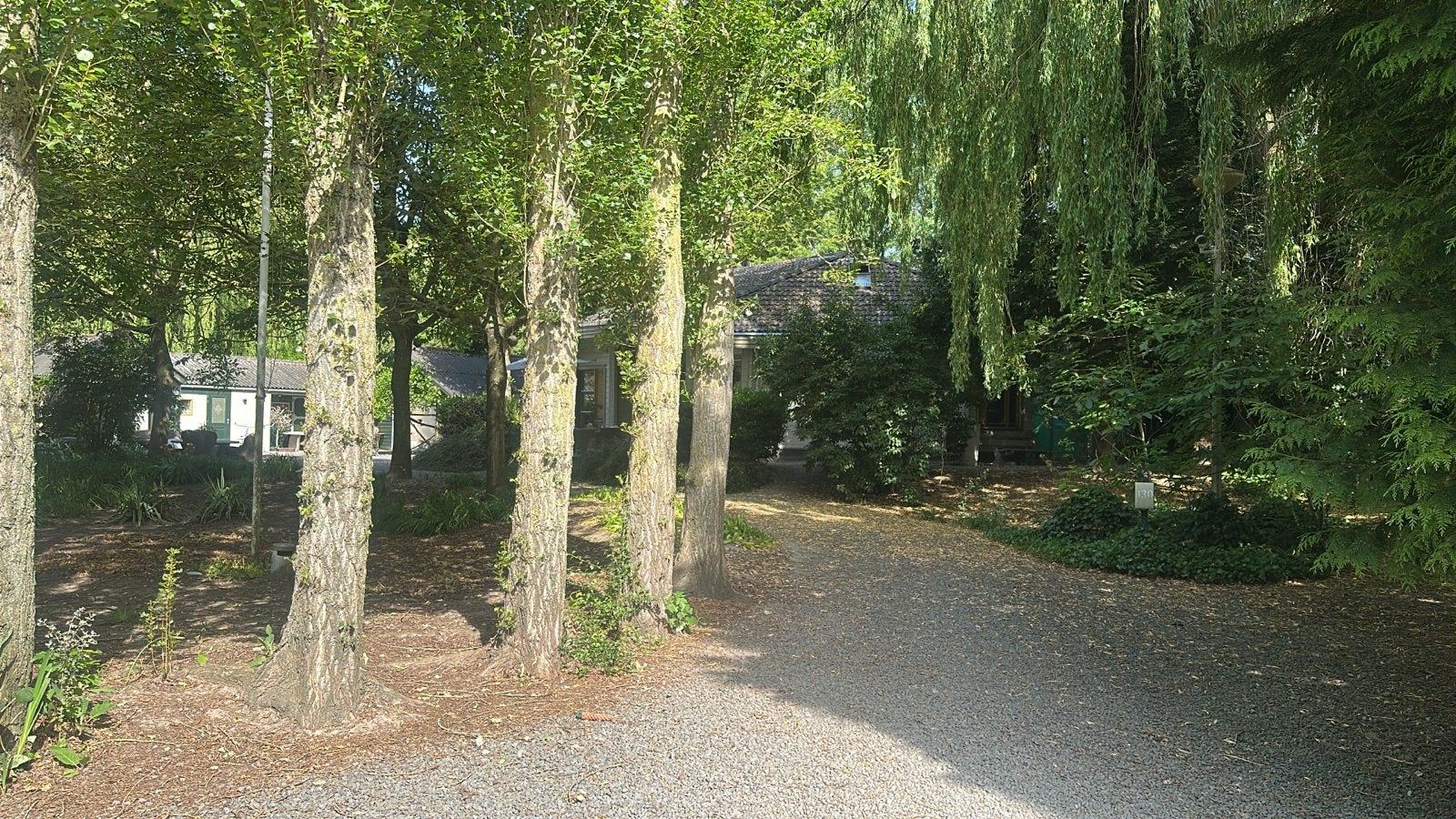 Villa kwispelbont honden hotel.En Kattenhotel., Pension of Dagopvang