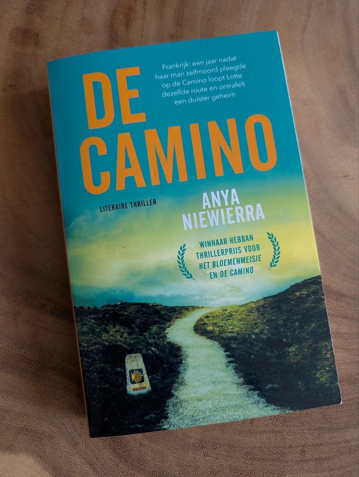 De Camino - Anya Niewierra (Literaire thriller), Boeken, Ophalen of Verzenden, Zo goed als nieuw, Anya Niewierra, Nederland