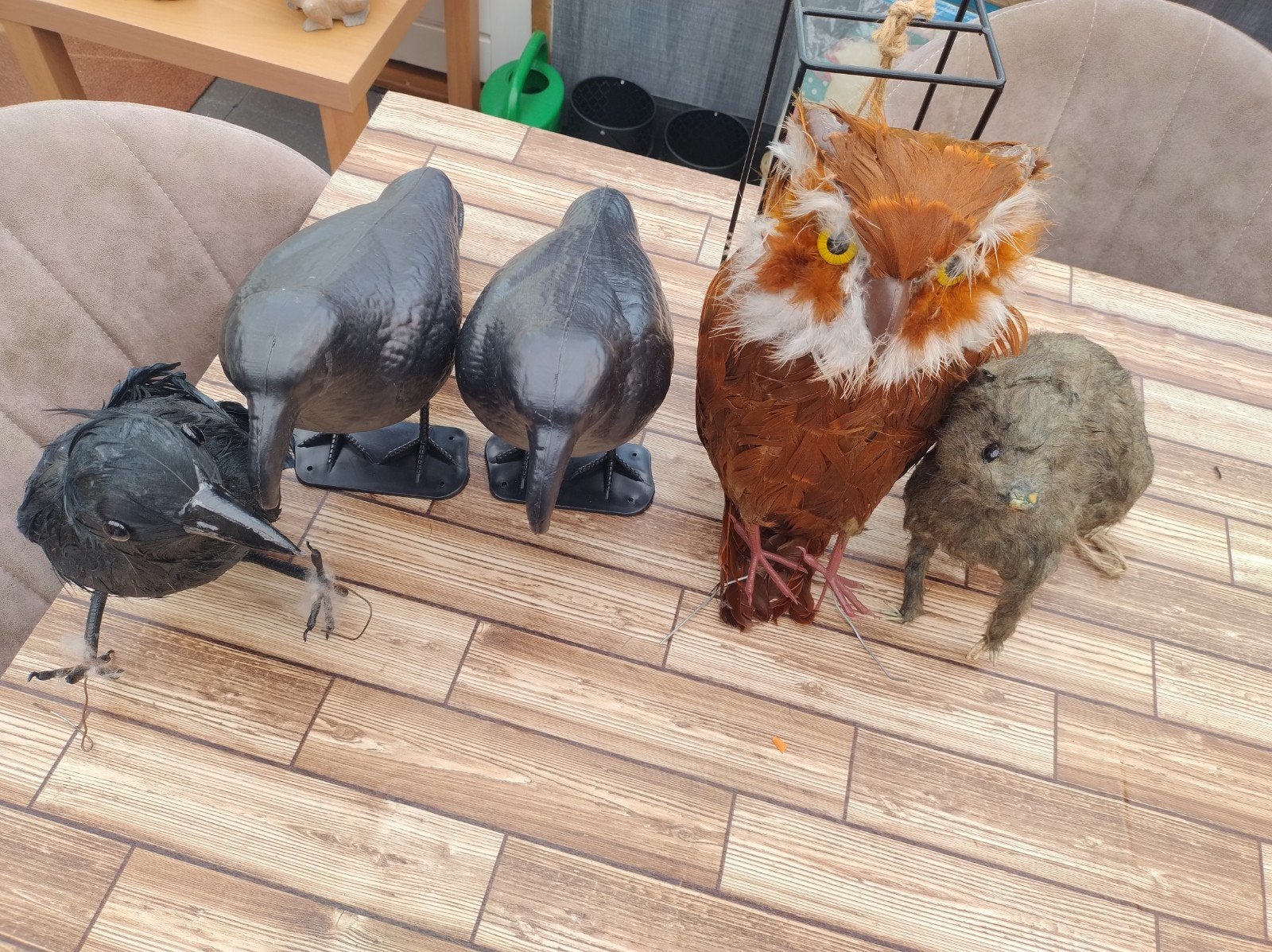 Decoratieve vogels en rat: kraaien, raaf, uil en rat, Ophalen of Verzenden, Gebruikt