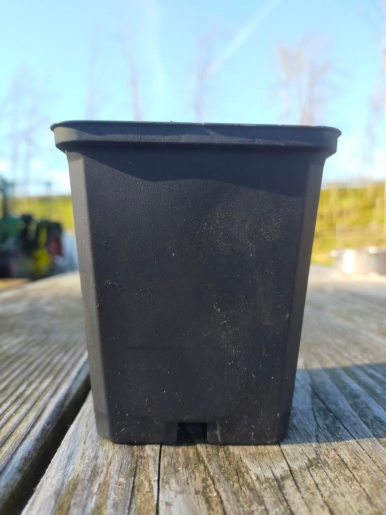 Kweekpotten P9 - Ruim 3000 stuks beschikbaar, Kunststof, Minder dan 30 cm, Minder dan 60 cm, Vierkant