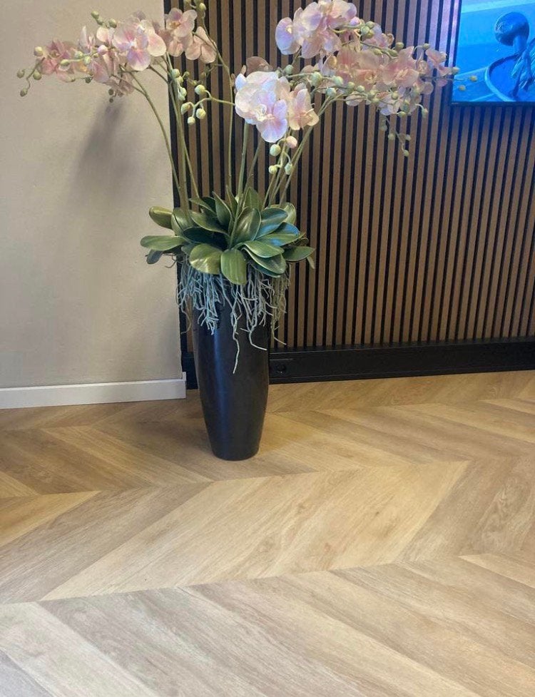 11 hoogwaardige kunst orchideeën (excl. pot), Ophalen, Zo goed als nieuw
