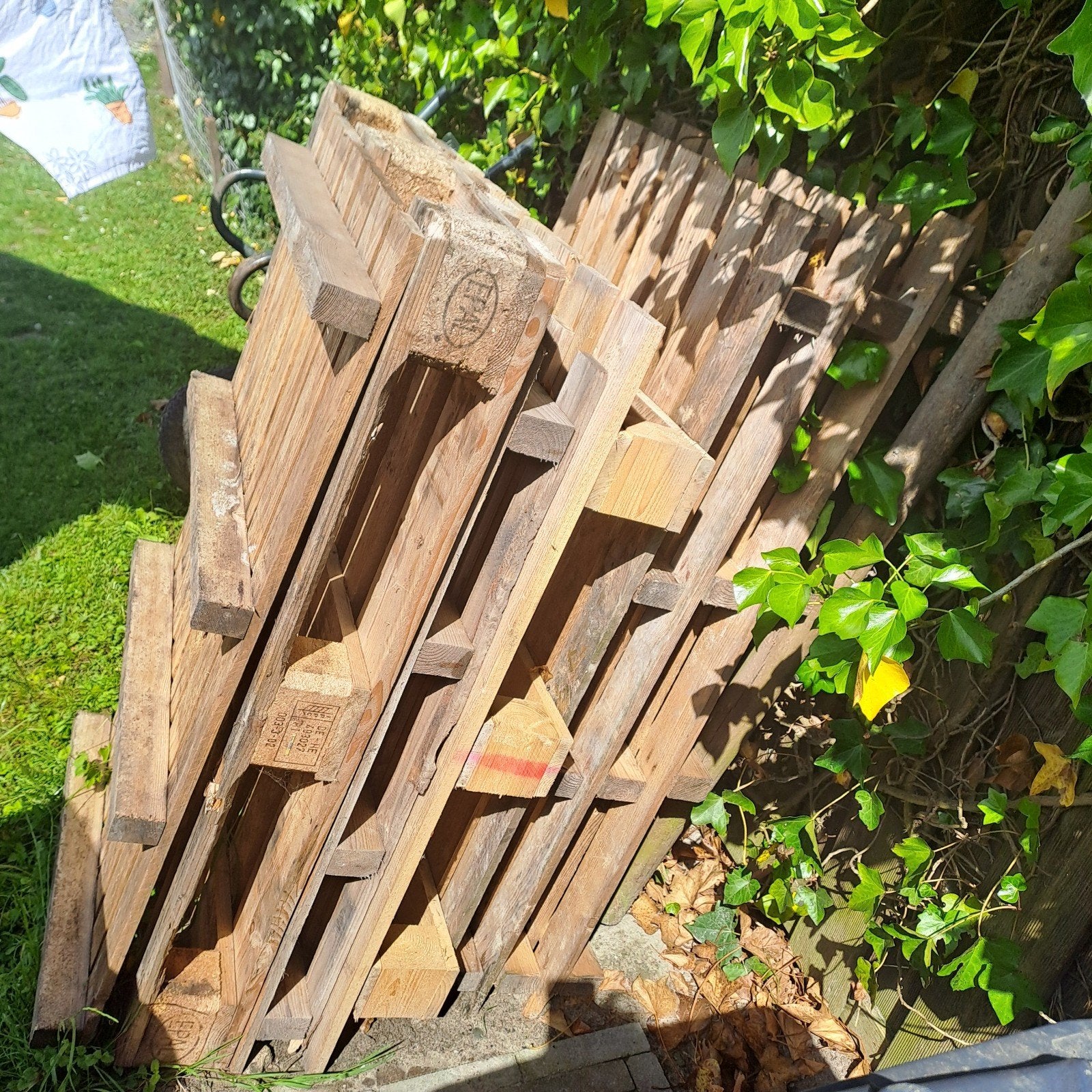 Pallets, Doe-het-zelf en Verbouw, Hout en Planken, Ophalen, Overige houtsoorten, Minder dan 200 cm, Pallet