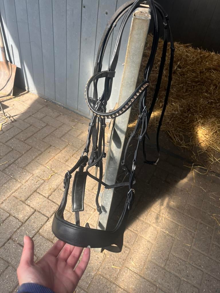 Anatomisch hoofdstel te koop!, Dieren en Toebehoren, Paarden en Pony's | Hoofdstellen en Tuigage, Gebruikt, Dressuur, Ophalen