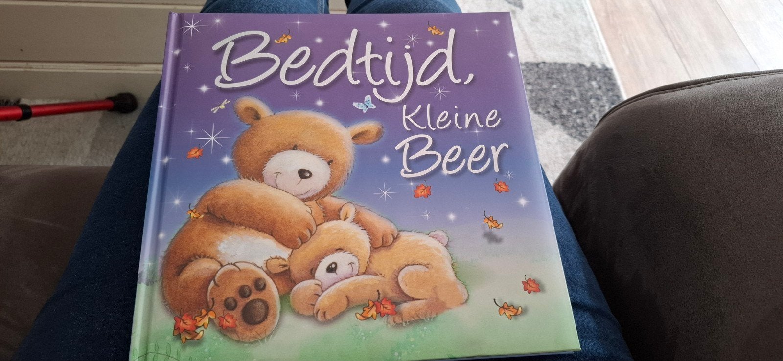 Bedtijd Kleine Beer, Ophalen, Zo goed als nieuw, Renate Hagenstijn, Prentenboek