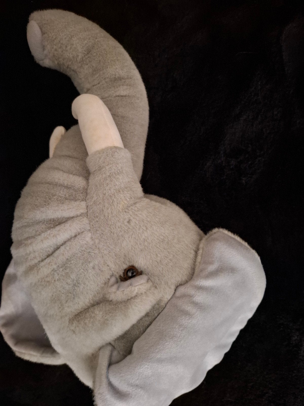 dierenkop olifant, Ophalen of Verzenden, Wanddecoratie