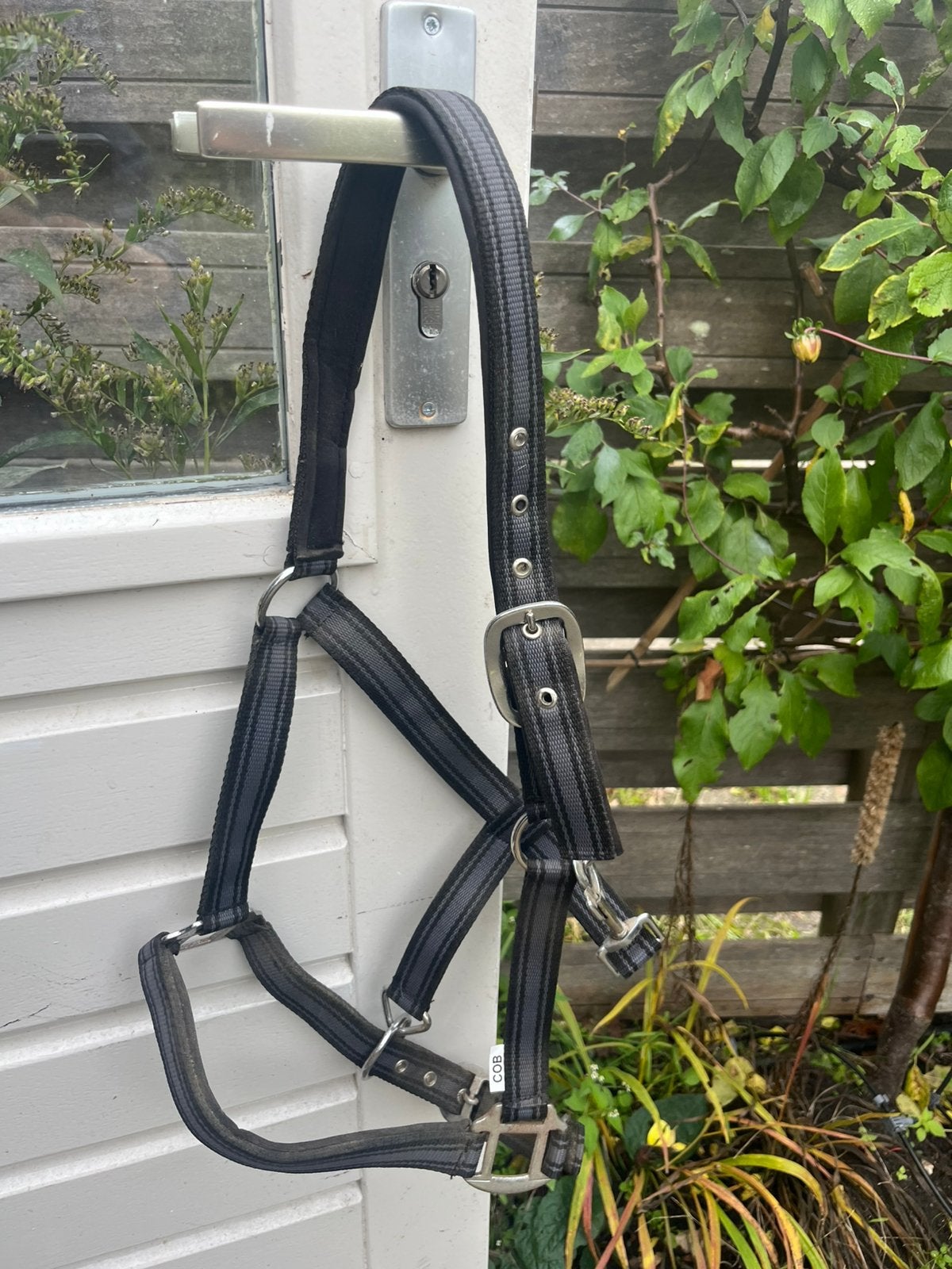 Zwart grijs halster cob, Dieren en Toebehoren, Gebruikt, Grijs, Ophalen of Verzenden, Halster
