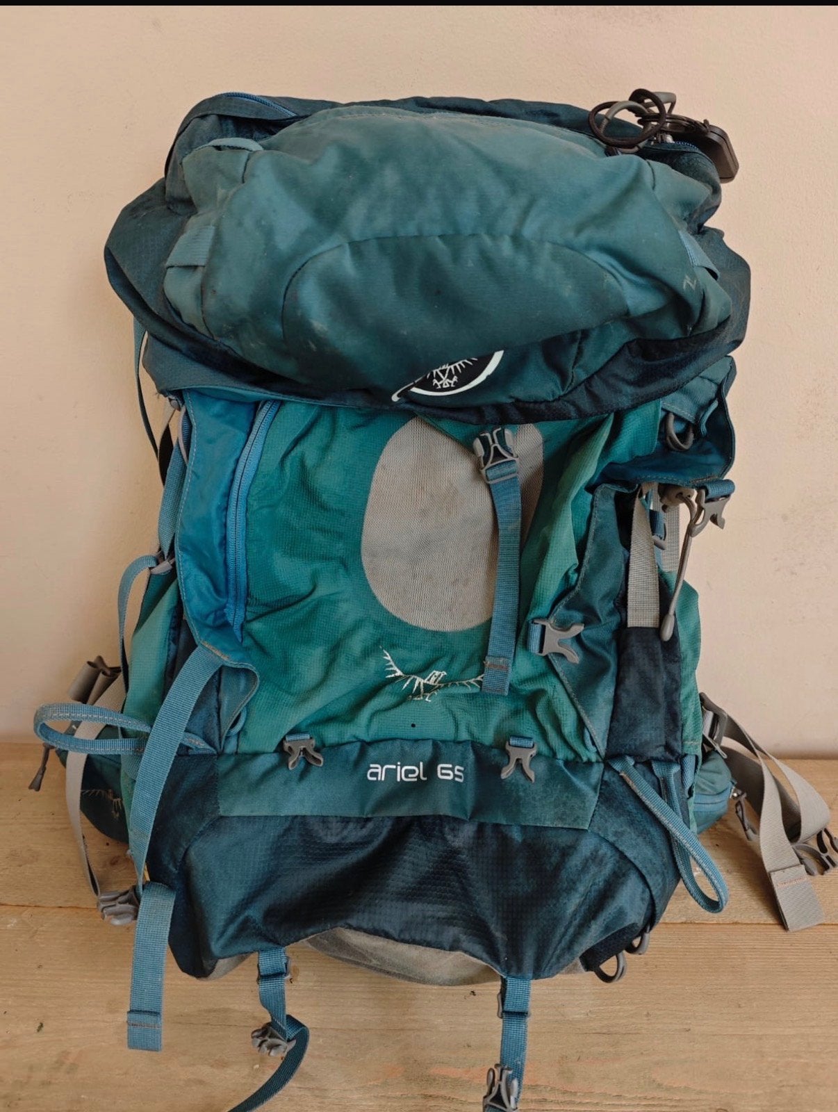 Osprey Ariel 65 liter backpack - Ideaal voor lange reizen, Ophalen of Verzenden, Gebruikt, Rugzak