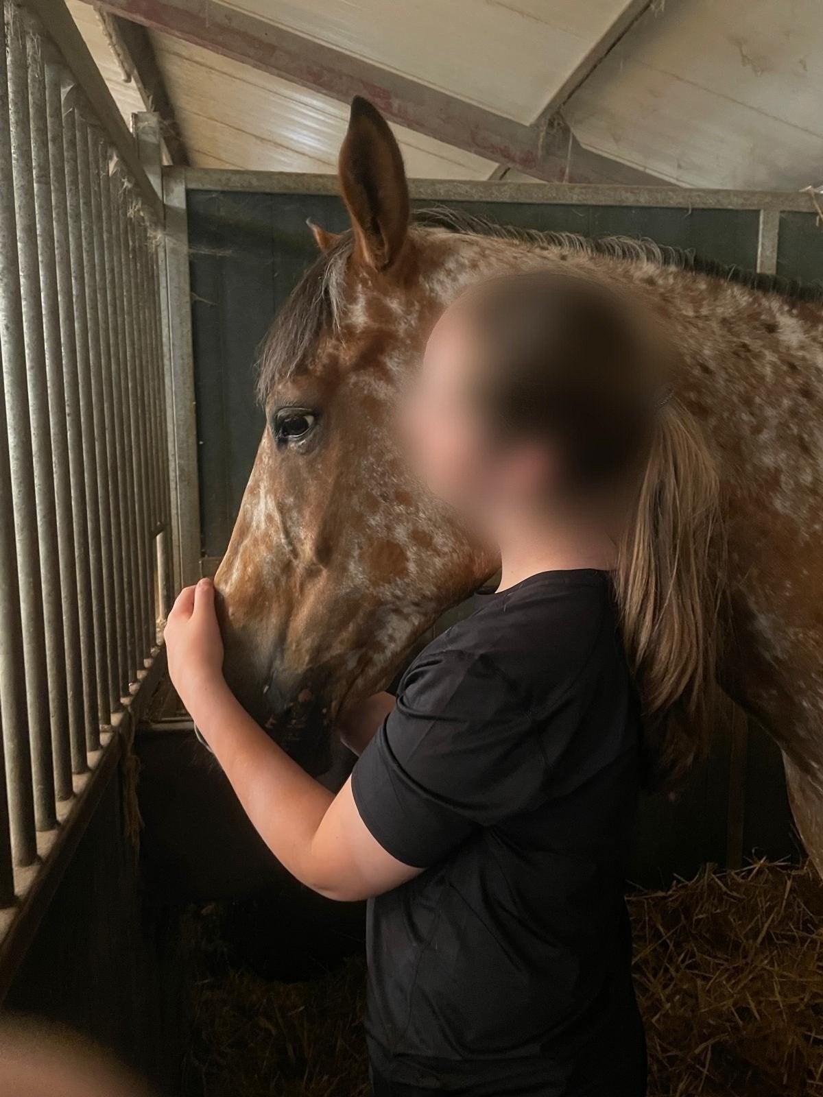 Verzorg pony gezocht, Ophalen of Verzenden