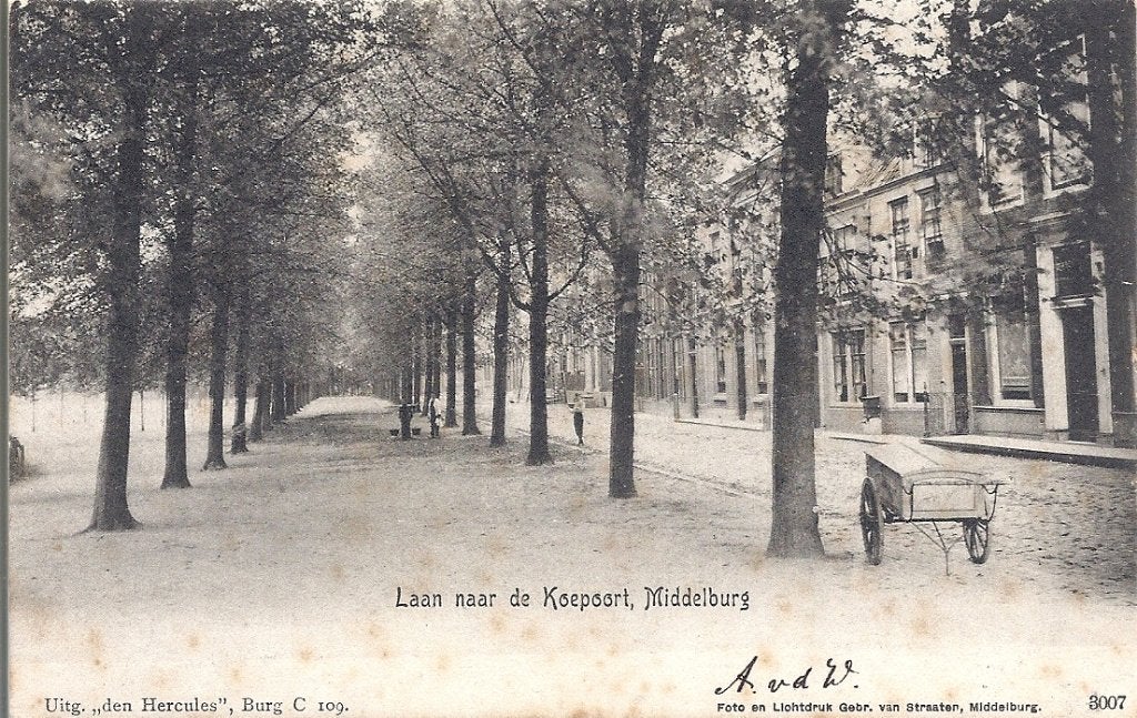 Middelburg Laan naar de Koepoort met bakkerskar 1903, Verzenden, Voor 1920, Gelopen, Zeeland