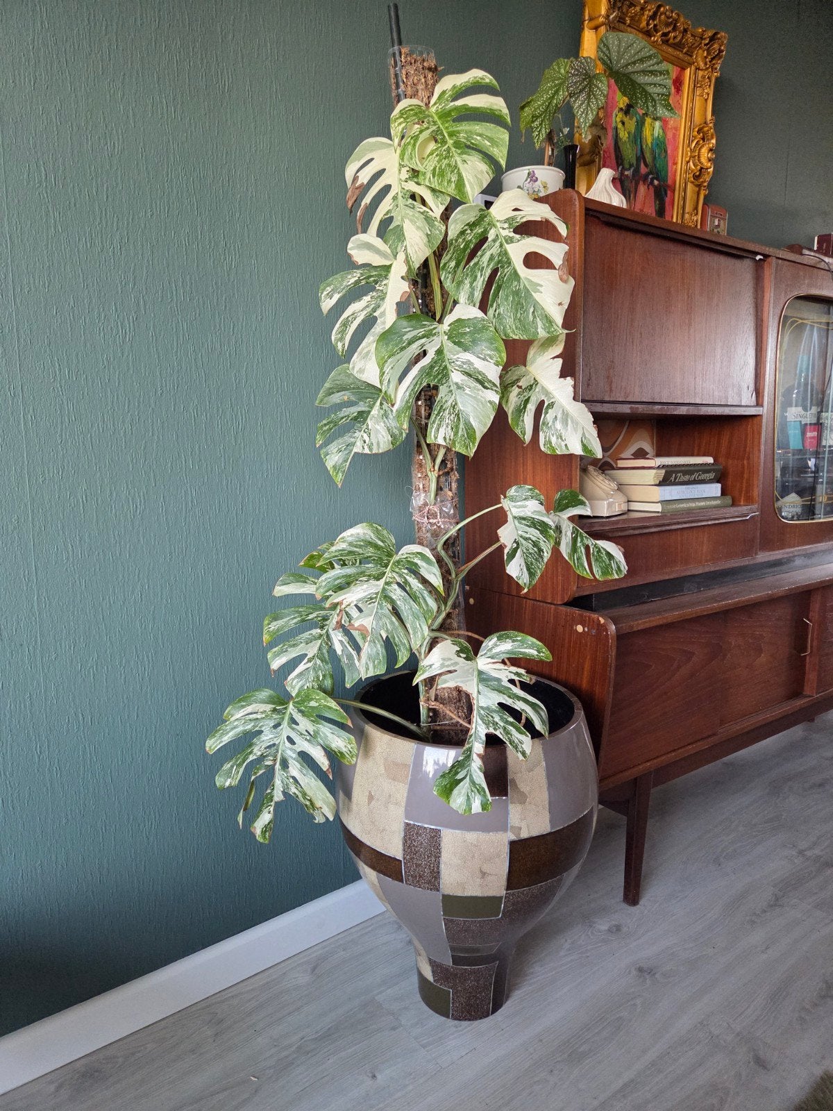 Grote DK Home Design Vaas / Bloempot (56 cm) – Mozaïek & Par, Ophalen, Overige materialen, Zo goed als nieuw, Meerkleurig