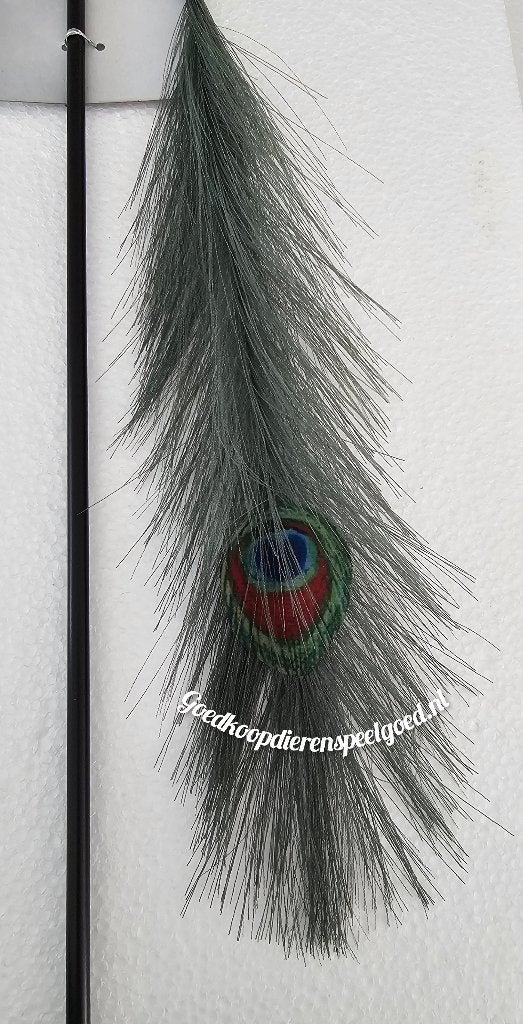 Kattenspeelgoed   " Speelhengel met pauwenveer  ", Dieren en Toebehoren, Kattenspeelgoed, Ophalen of Verzenden, Nieuw, Speelhengel