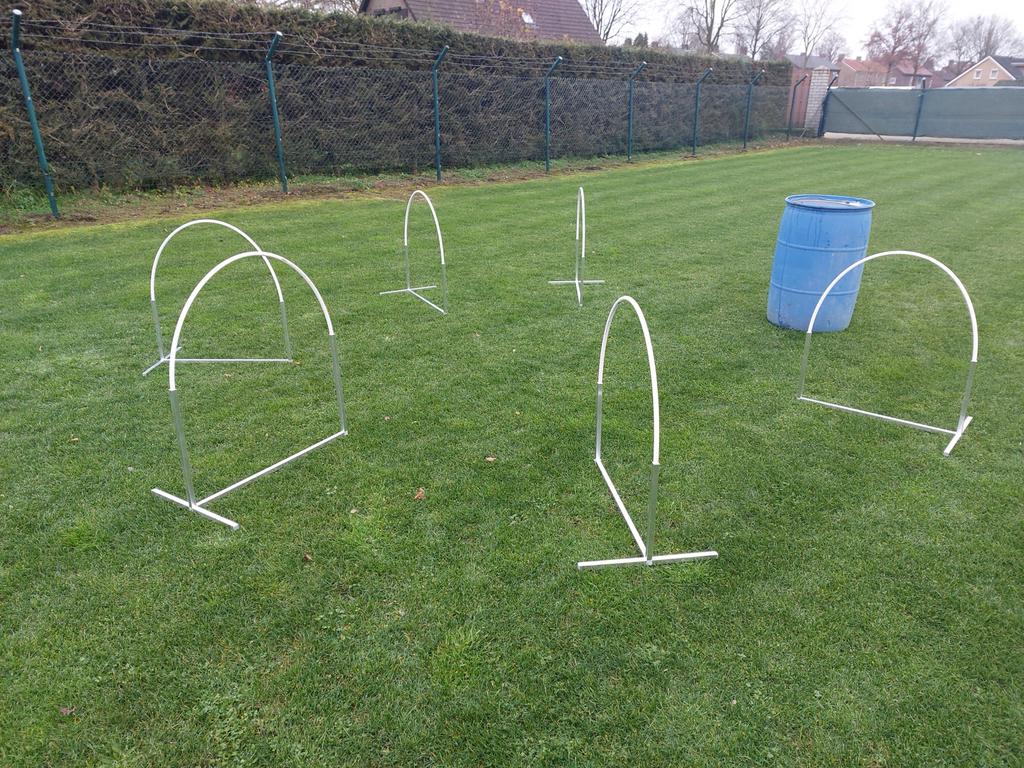 Hoops voor hoopers, Ophalen of Verzenden, Nieuw