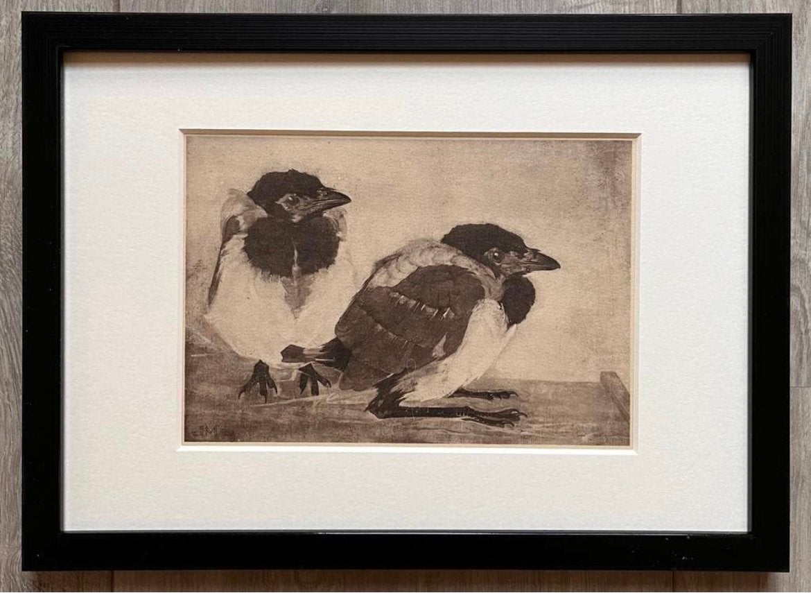 Jan Mankes 1889-1920 / Heliogravure 2 Jonge Eksters 1923, Antiek en Kunst, Kunst | Etsen en Gravures, Origineel, Verzenden, Gravure