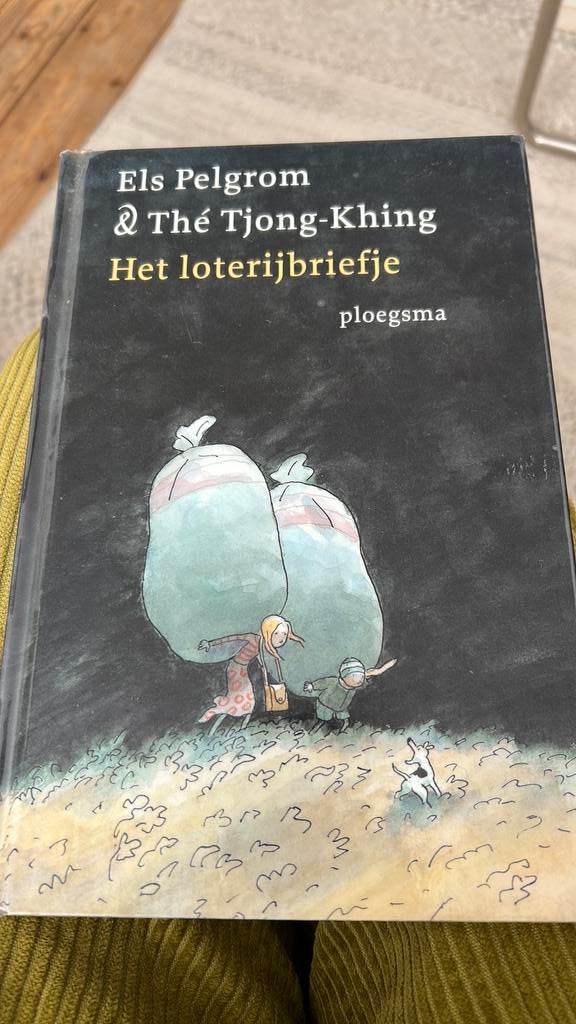 Els Pelgrom & Thé Tjong-Khing Het loterijbriefje, Boeken, Ophalen of Verzenden, Zo goed als nieuw