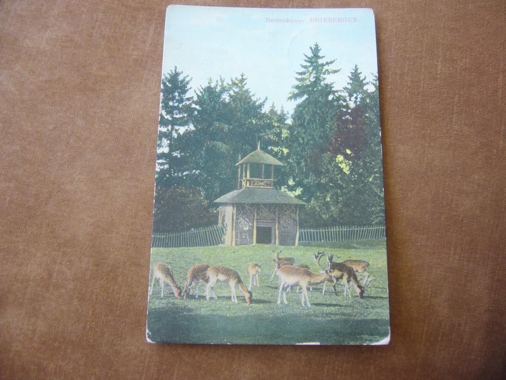 DRIEBERGEN  :  HERTENKAMP  BRIEFKAART  1911, Ophalen of Verzenden, Voor 1920, Gelopen, Utrecht