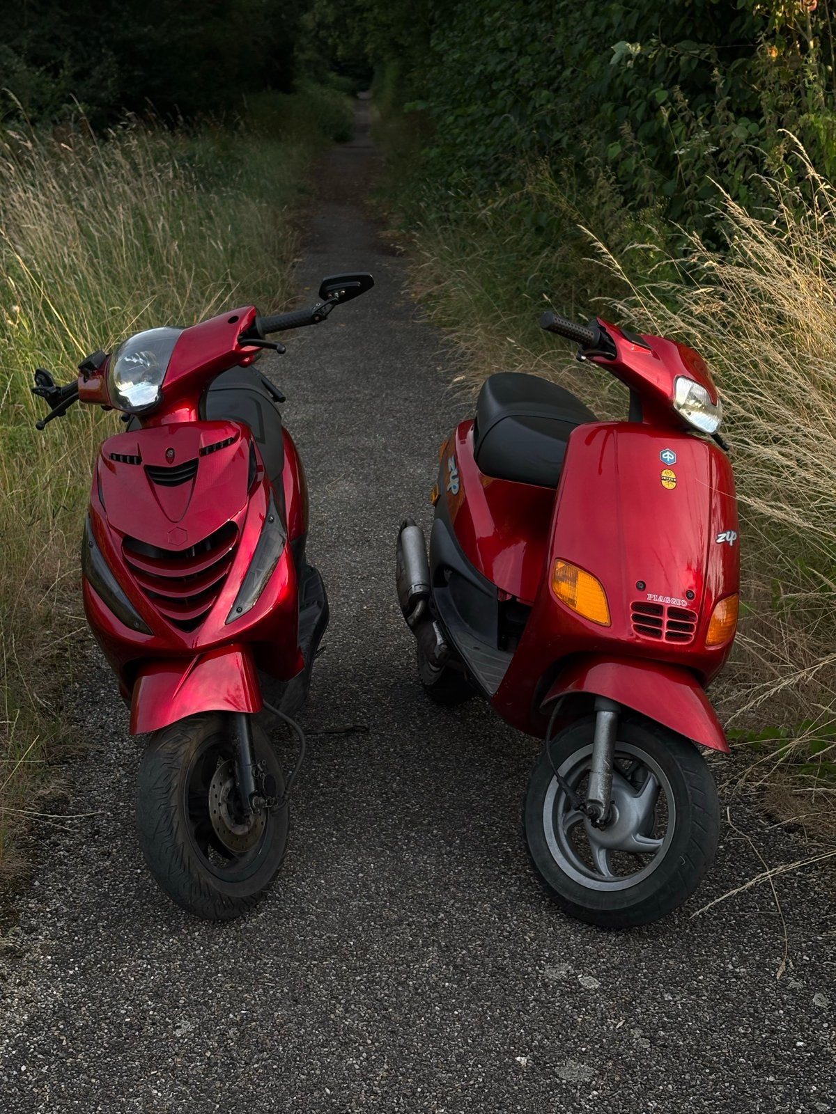 Piaggio Zip Scooter - Rood, Gebruikt, Maximaal 45 km/u, Zip, Ophalen of Verzenden