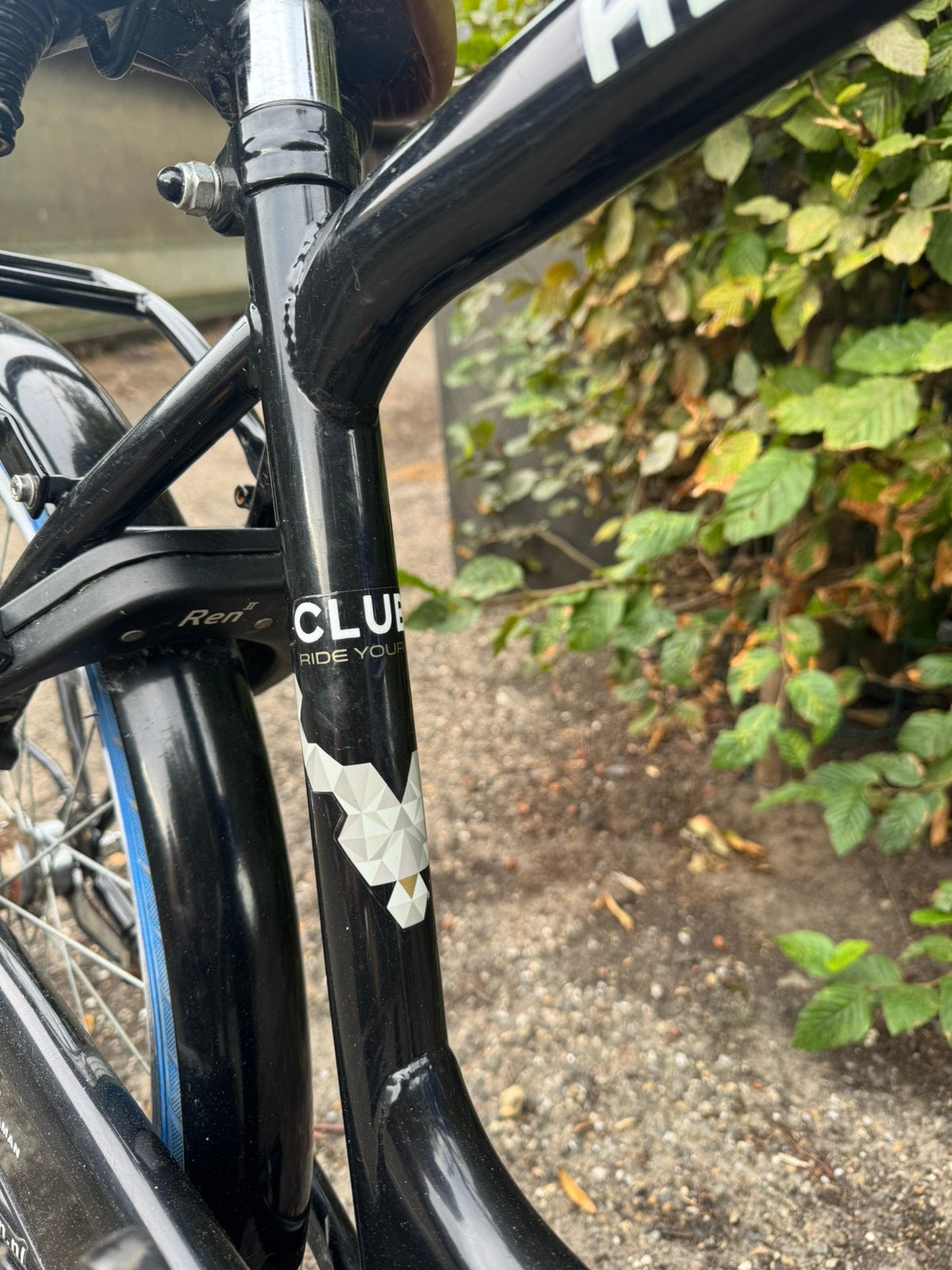 Alpina club 24 inch, Ophalen, Zo goed als nieuw, 24 inch, Versnellingen