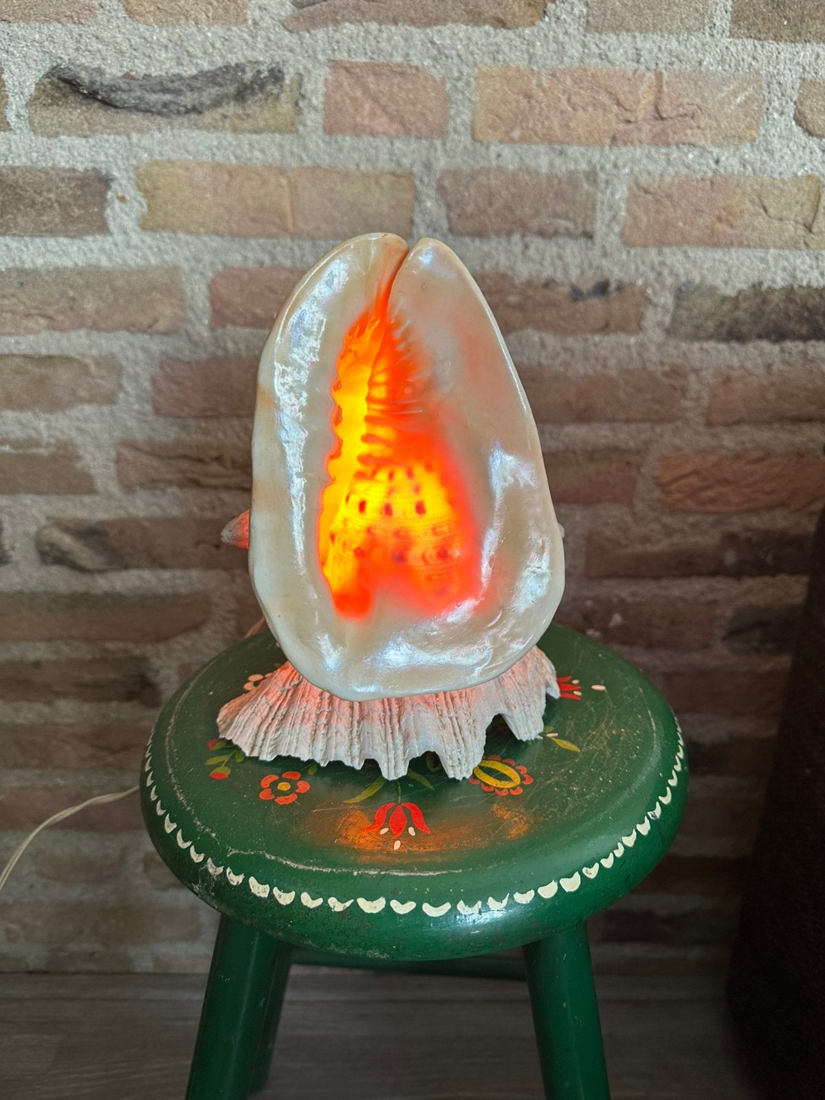 Cassis Cornuta schelp lamp, Antiek en Kunst, Ophalen of Verzenden
