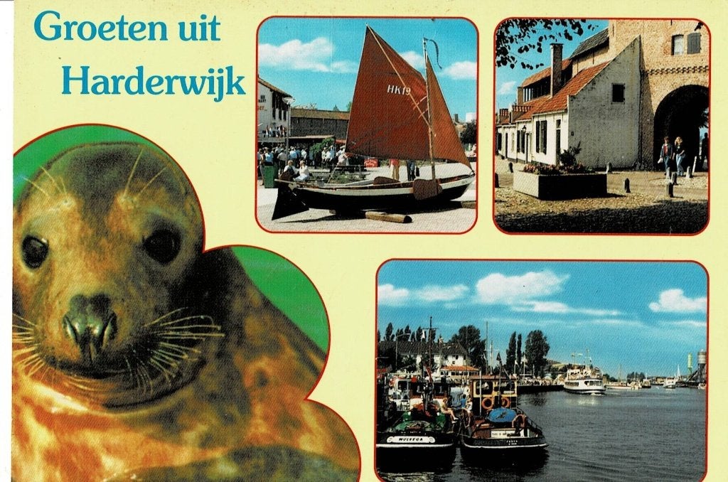 Harderwijk, Ophalen of Verzenden, 1940 tot 1960, Gelopen, Gelderland