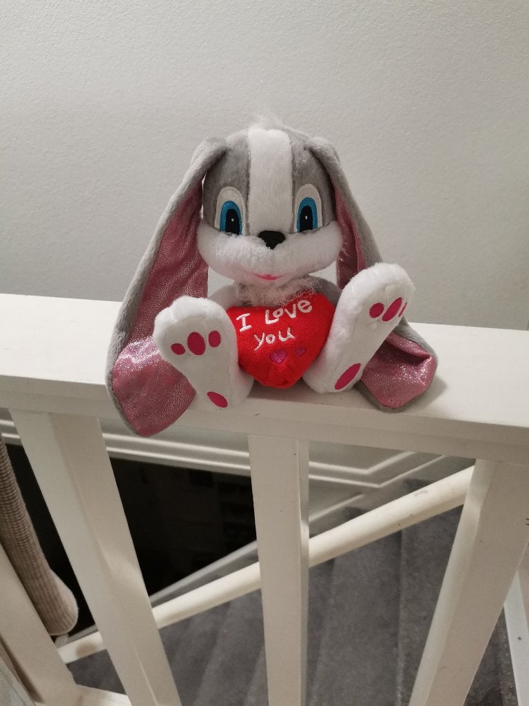 Knuffel konijn, Ophalen, Gebruikt, Konijn