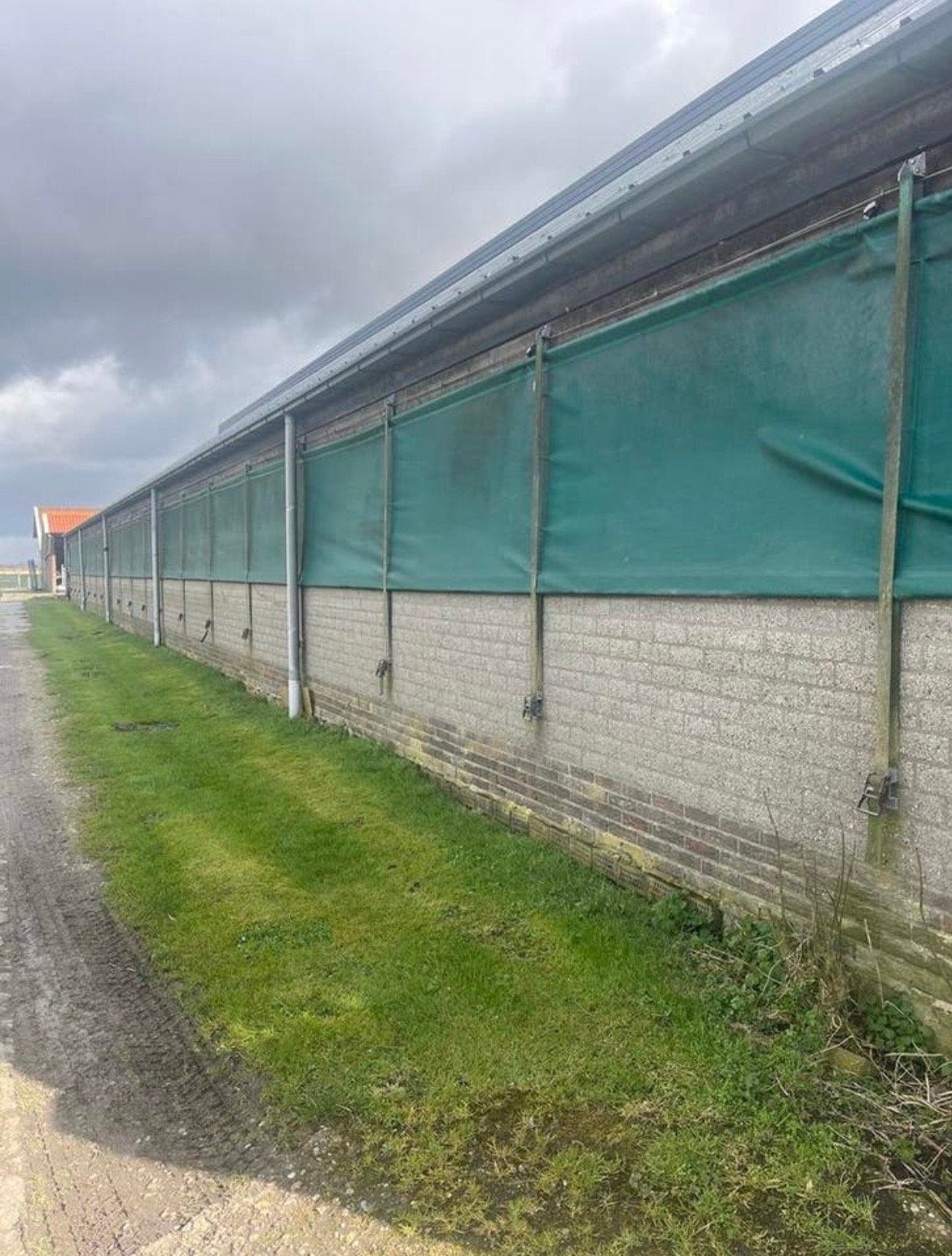Windbreekgaas, Ophalen, Gebruikt, 20 meter of meer, Gaas