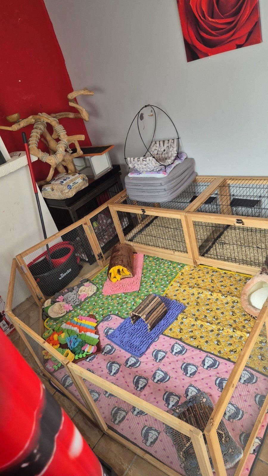 cavia / konijnenkooi 150cm + ren 8 panelen a 60 cm, Kooi, 110 cm of meer, Cavia, Ophalen