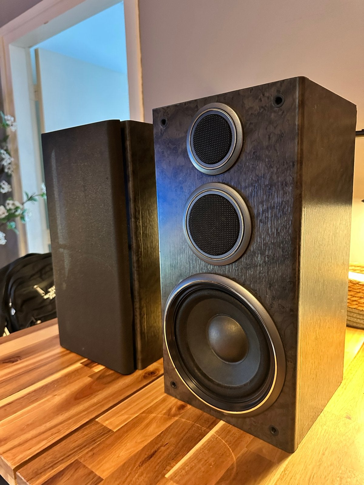 Hitachi HS-FX9 Speaker Systeem - Vintage Speakers