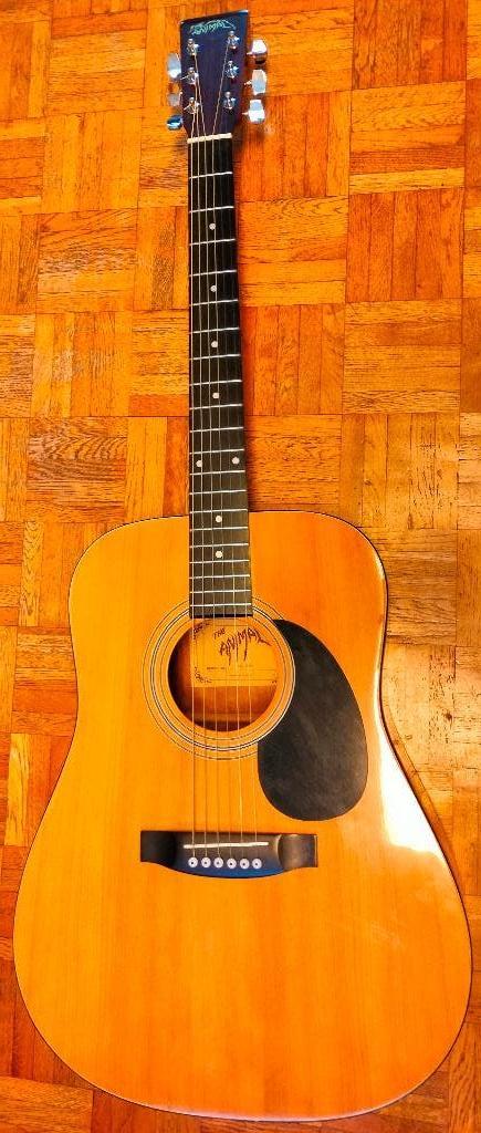 Western Gitaar, Ophalen, Gebruikt, Western- of Steelstringgitaar