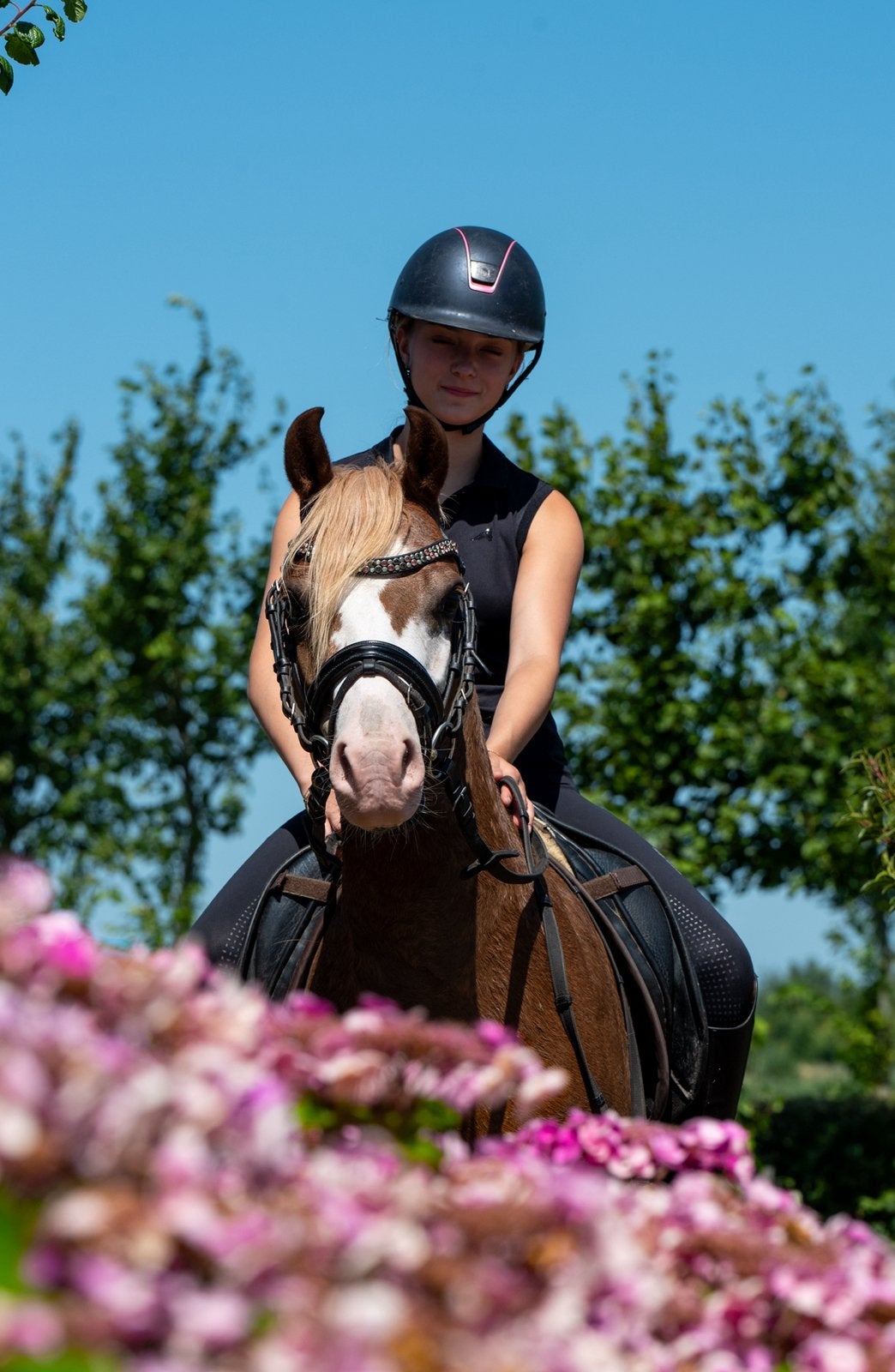 Leuke B pony, Dieren en Toebehoren, Pony's, Met stamboom, Ruin, Zadelmak, 7 tot 10 jaar