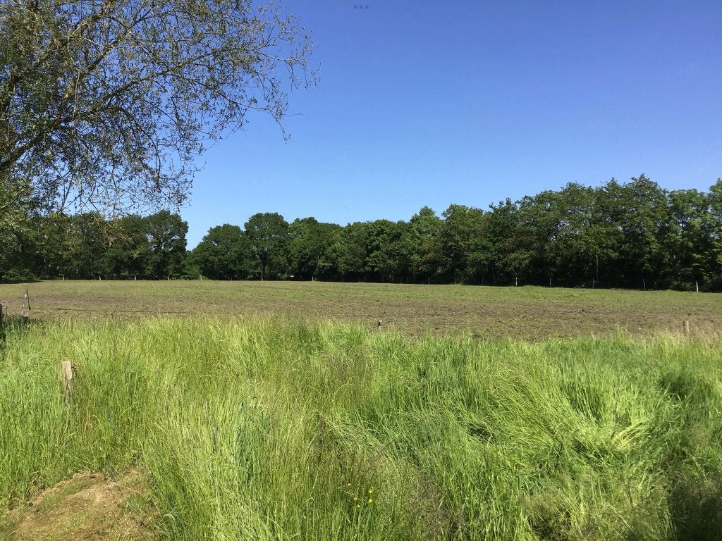 Weiland te huur in Lieveren netto 1,4 hectare paarden koeien, Dieren en Toebehoren, Opfok, 4 paarden of pony's of meer