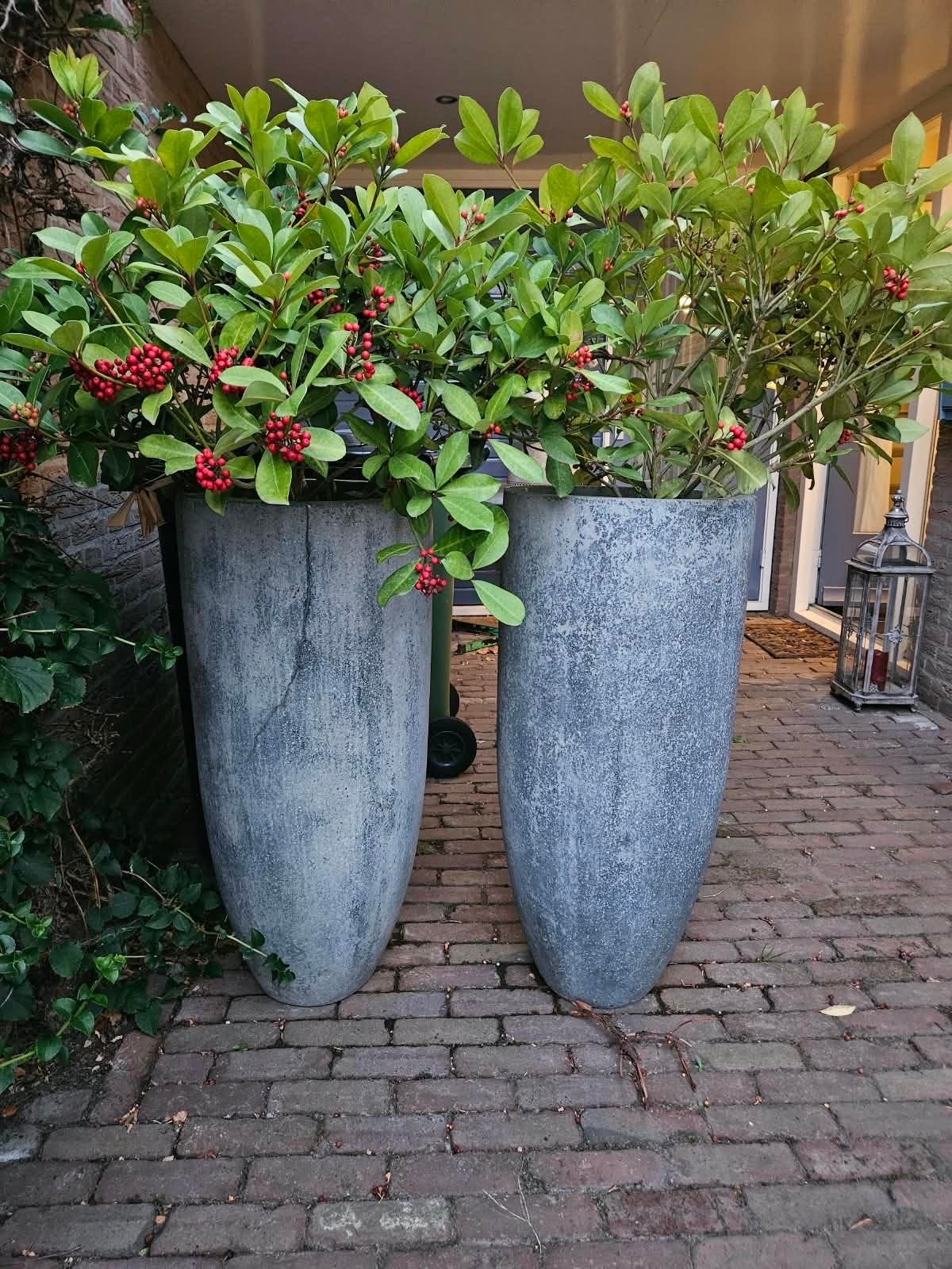 Twee imposante grijze kruiken met rode bessen planten, Ophalen, Gebruikt, 40 cm of meer, Rond